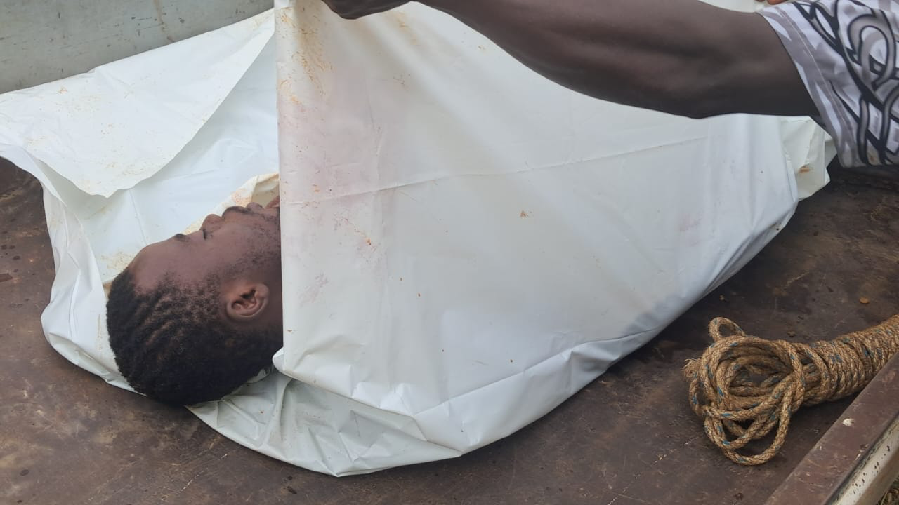 Excavator Operator Shot Dead in Awutu Forest, Colleague Critically Injured