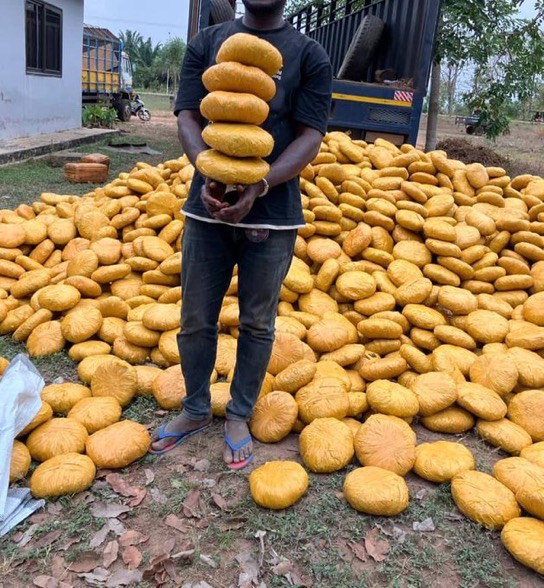 Oti Police Intercept Trailer, Seize 4,000 Parcels of Suspected Narcotics