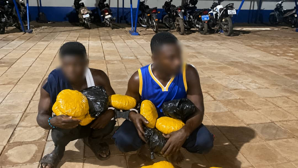 170 parcels of suspected Indian hemp seized in Tamale