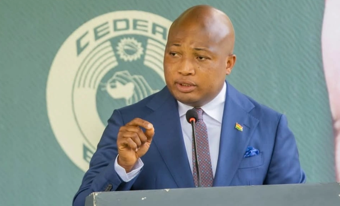 Ablakwa warns against reprisal attacks over xenophobia