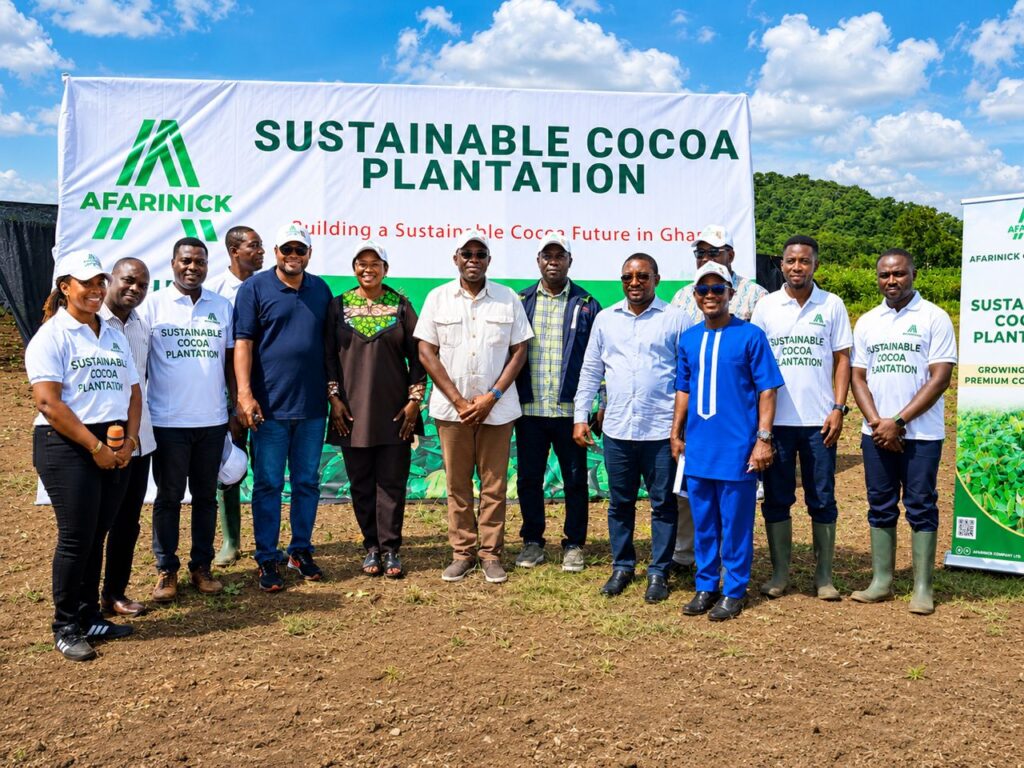 Company gives out 400,000 cocoa seedlings