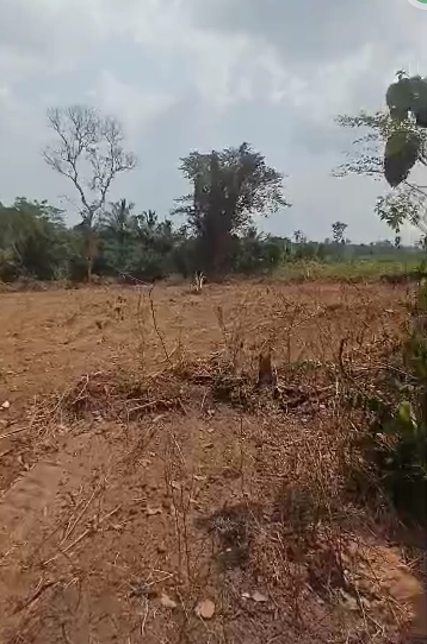 Farmers protest farmland sale to police and chiefs