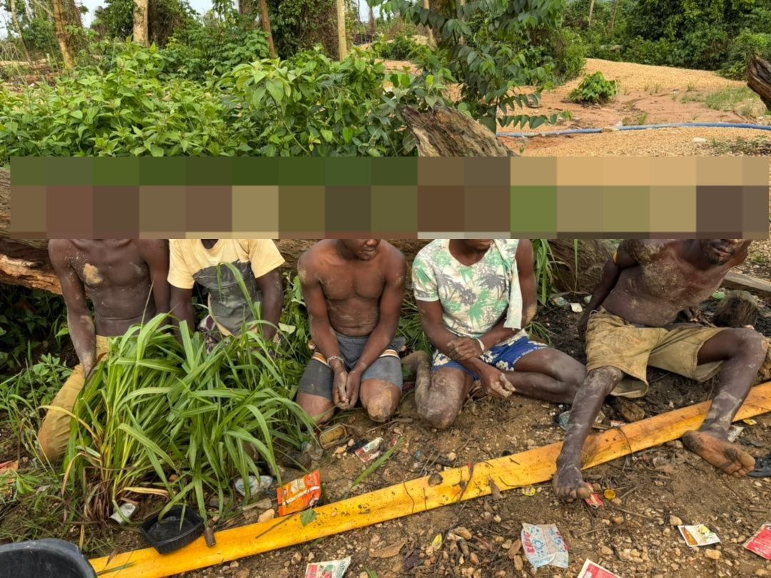 Forestry officers arrest 10 illegal miners