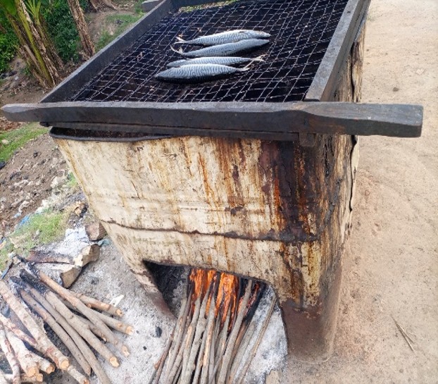 Old mangrove wood for smoking fish has cancer agents KNUST study