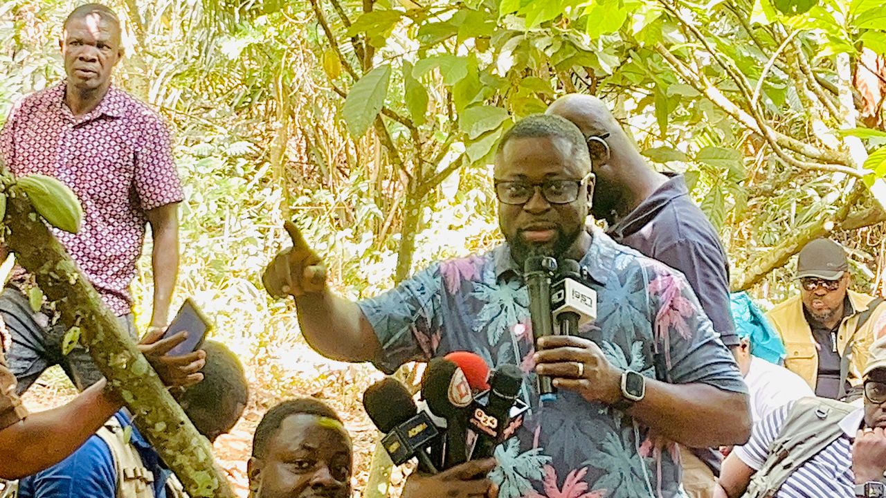 MP criticises cocoa price cut, suggests fund instead