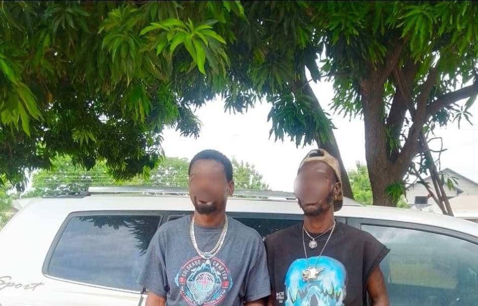Bono East Police Nab Two with GH¢107k Cannabis in Kintampo