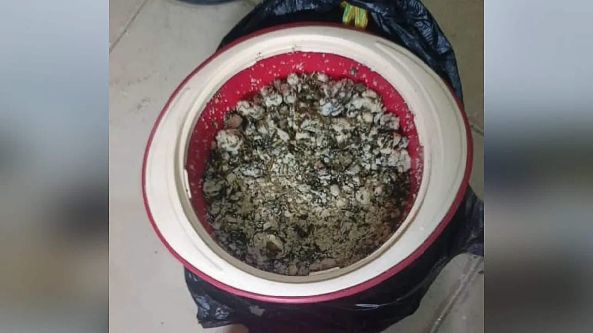 Bride Arrested for Alleged Poisoning of Husband 40 Days After Wedding in Nigeria