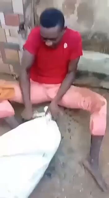 Chaos Erupts as Mob Forces Suspected Thief to Empty Sack in Nigeria