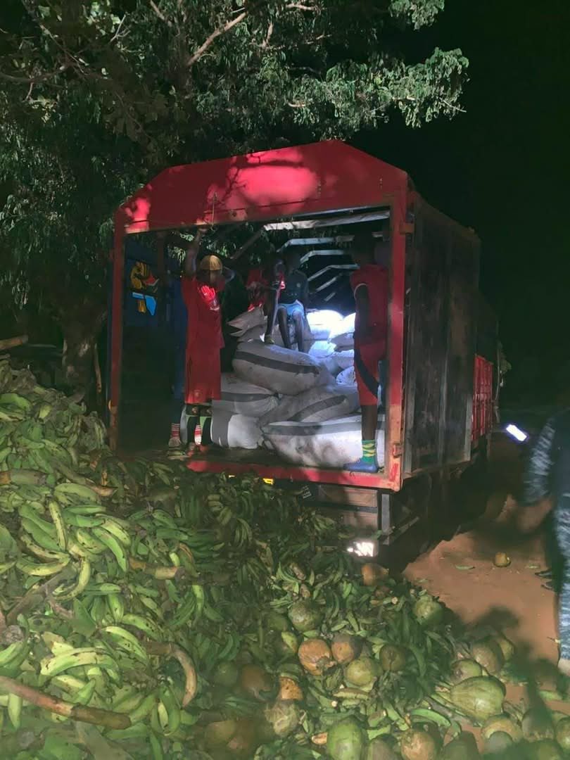 Four Arrested, 118 Cocoa Bags Seized Near Togo Border