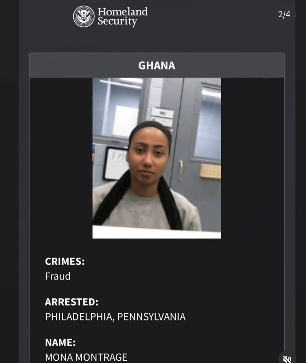 US Homeland Security Lists Ghanaian Socialite in 'Worst of the Worst' Deportation Watch