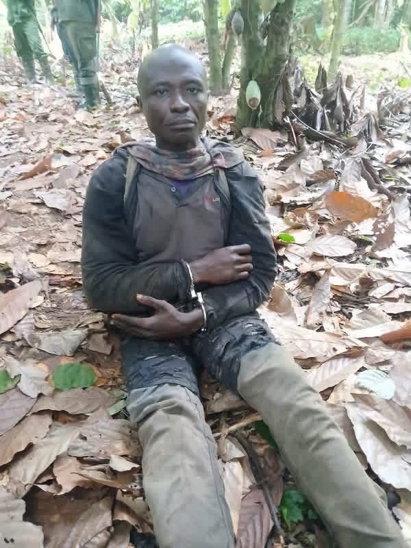 Wildlife Guard Shot Dead by Suspected Poacher in Kakum Forest