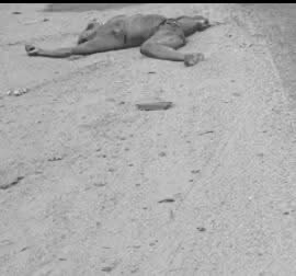 Unidentified Woman Found Dead at Tetegu Junction With Body Parts Missing